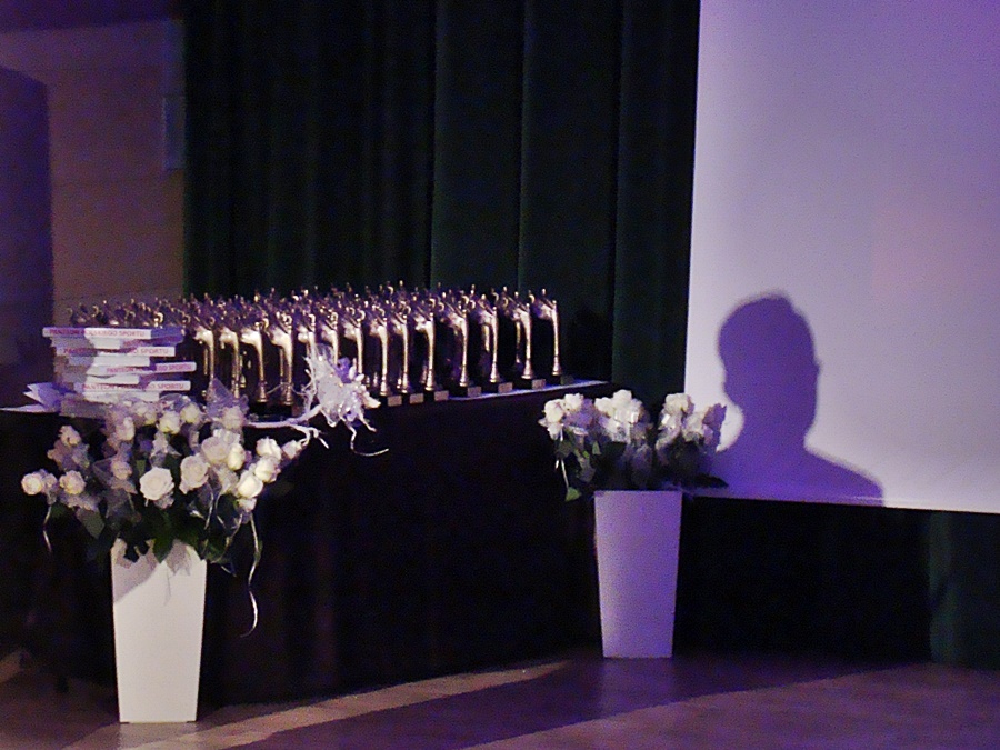 Hokej pod wodą Walenie Gala 2016